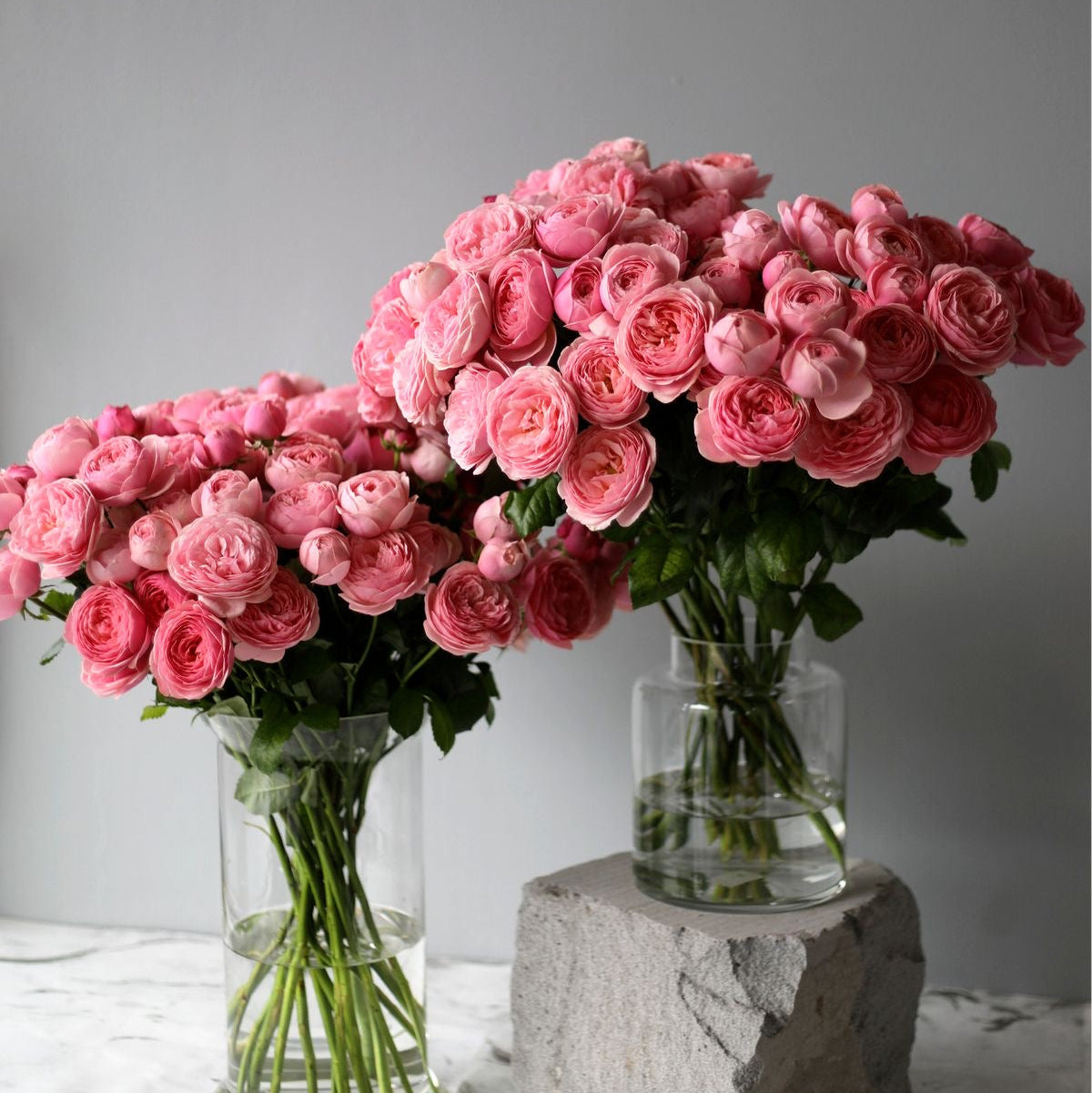 Spray roses Silva Pink