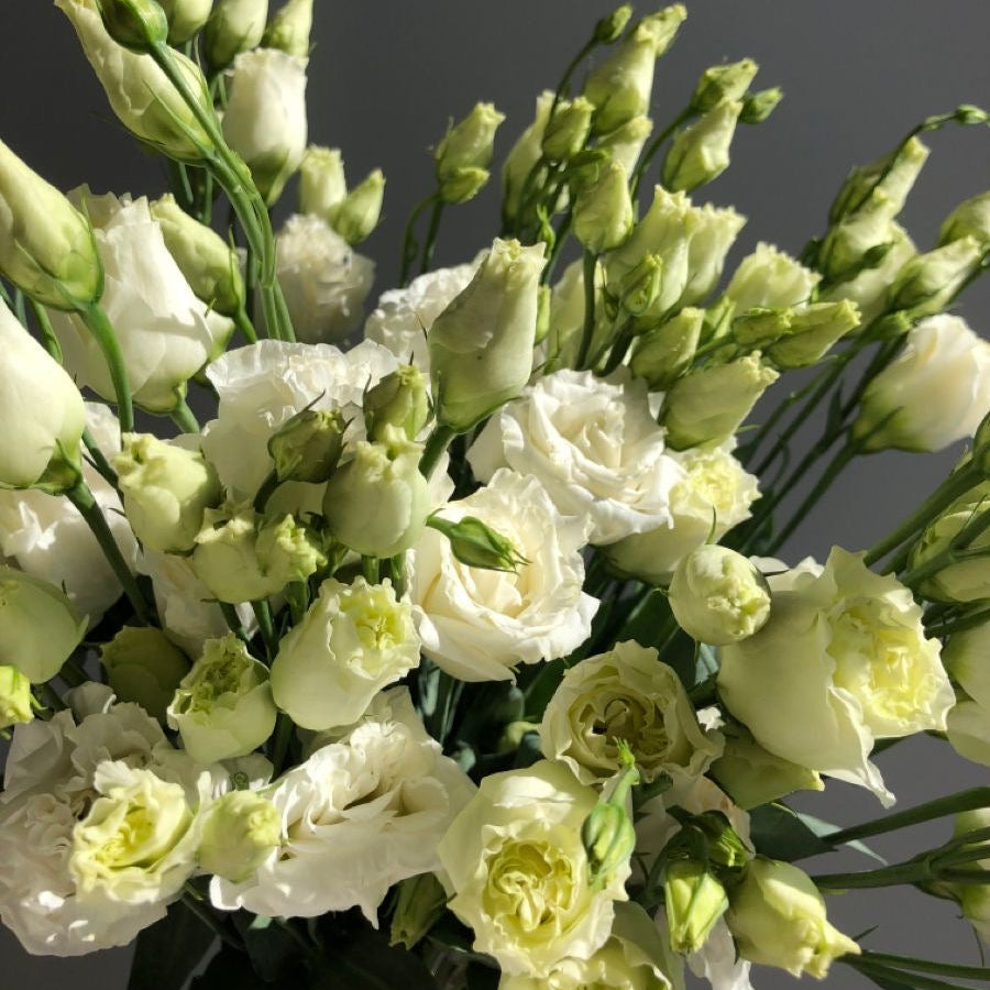 Eustoma mix