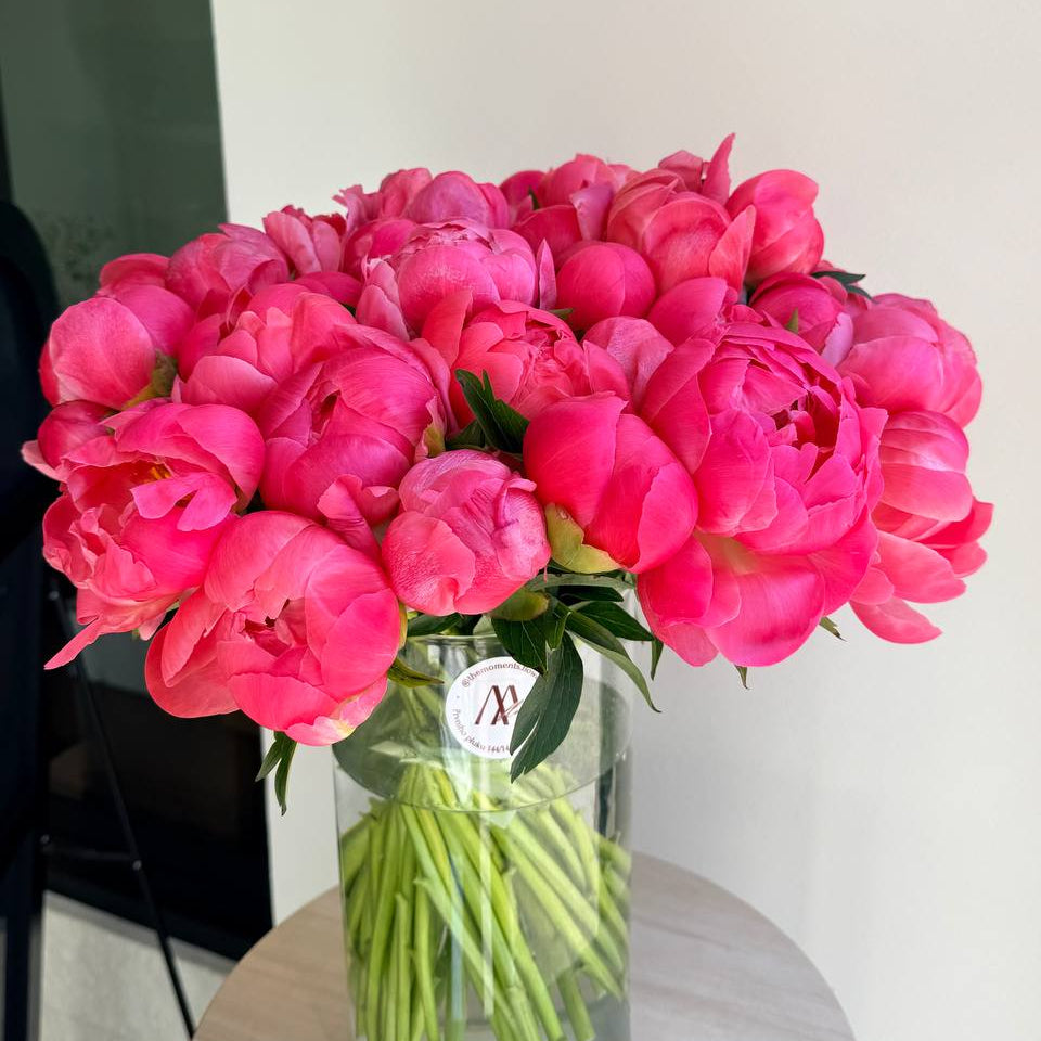 Peonies Coral Charm
