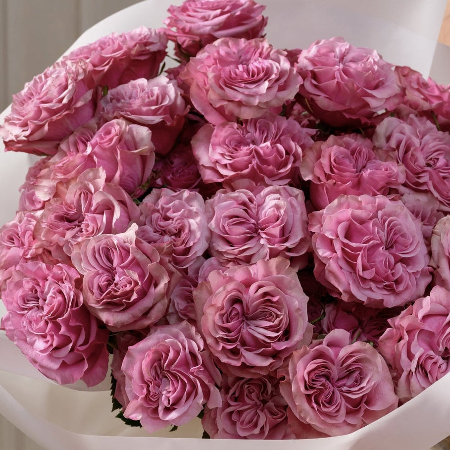 Roses Country Blues