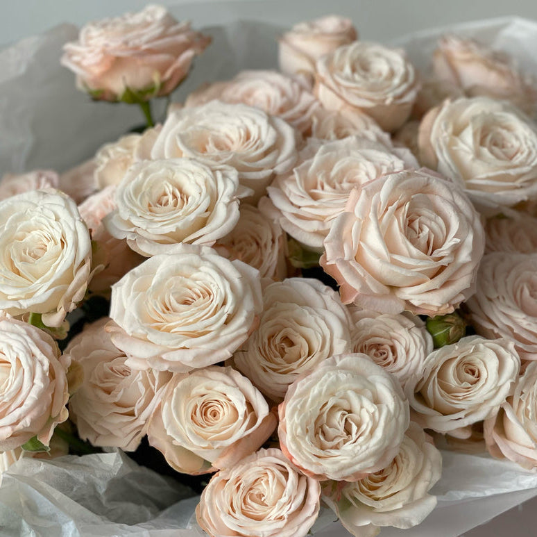 Spray roses Bombastic