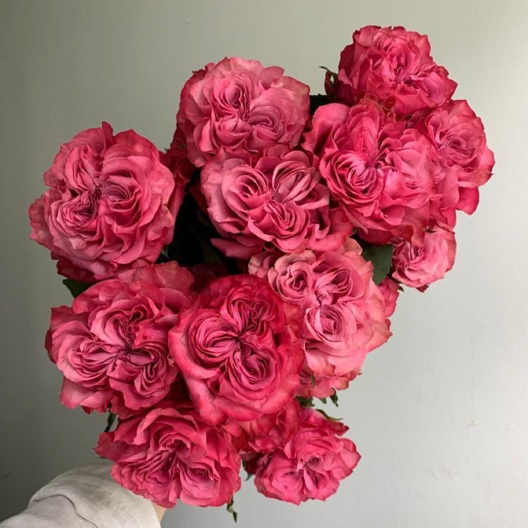 Roses Country Blues