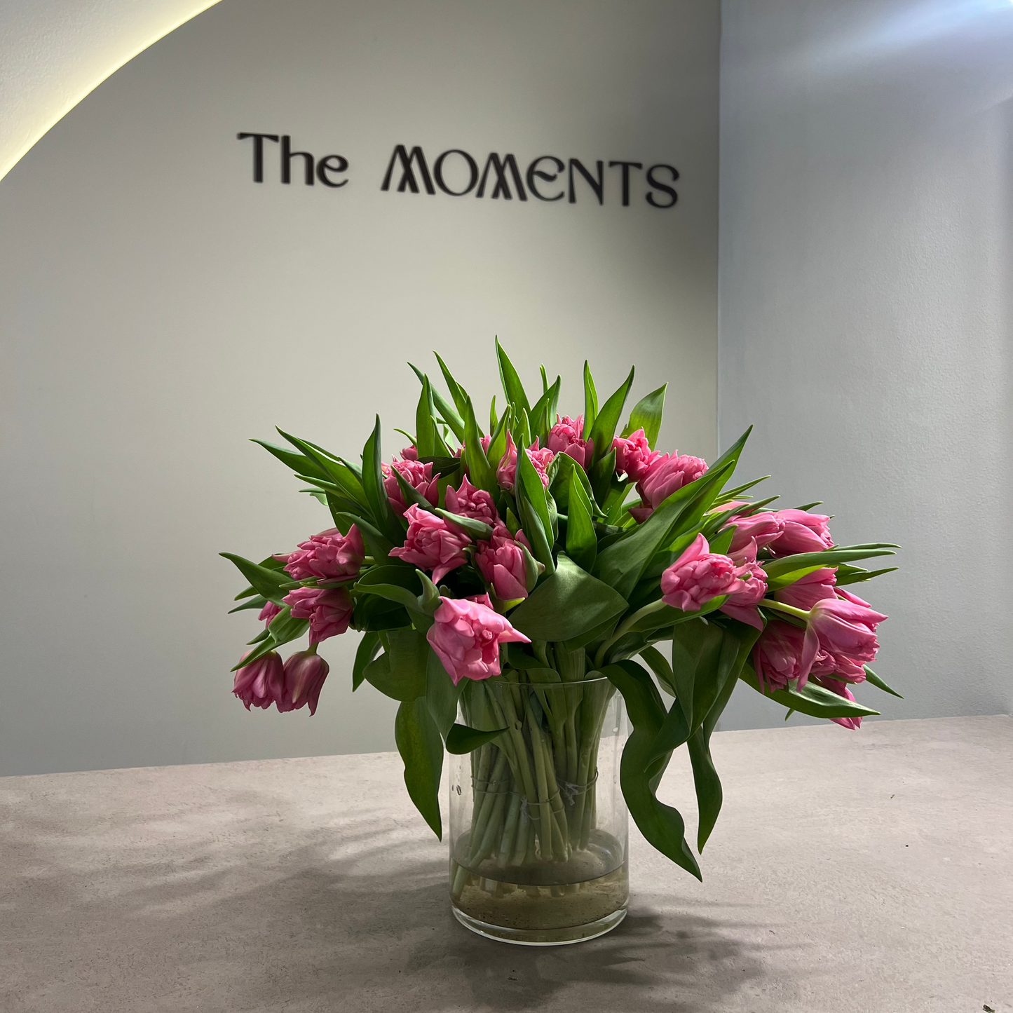 Tulips