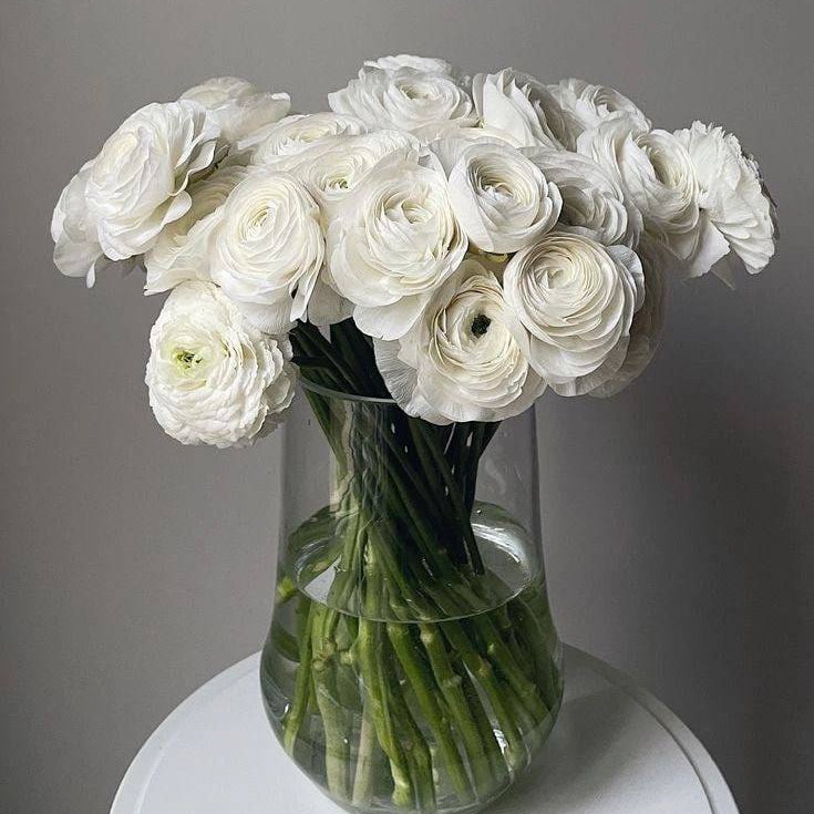 Ranunculus mix