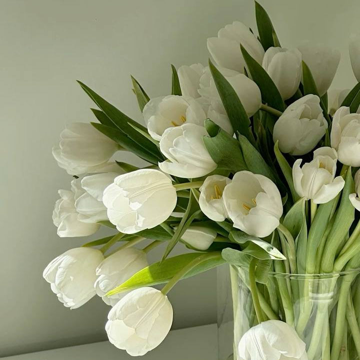 Tulips