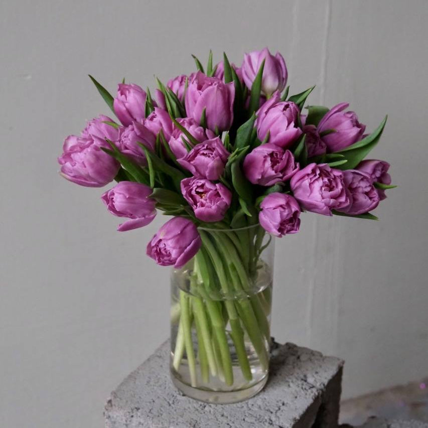 Tulips
