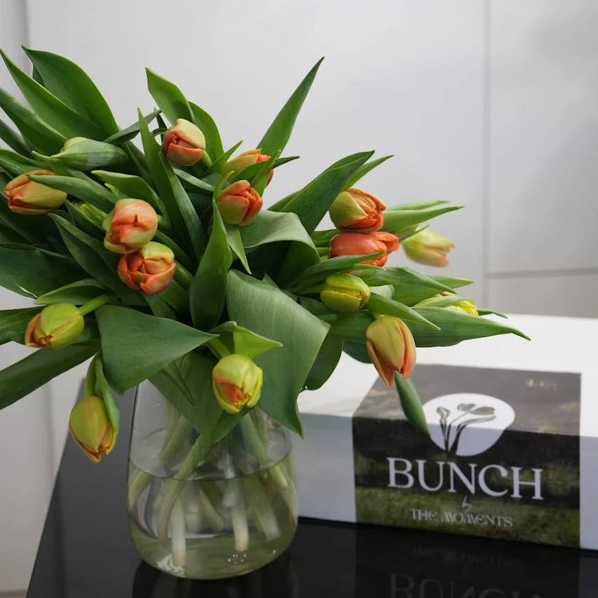 Tulips