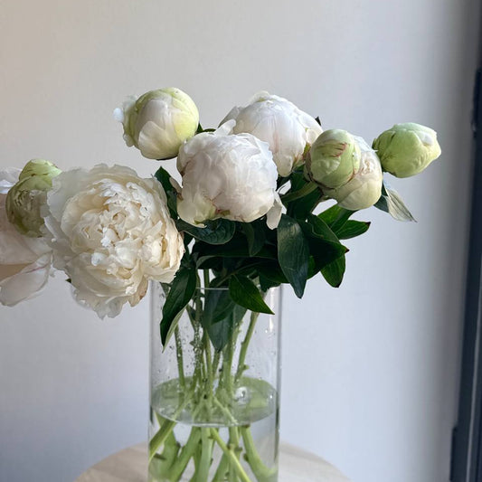 Peonies White