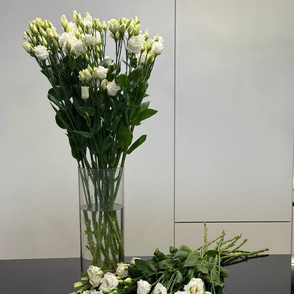 Eustoma