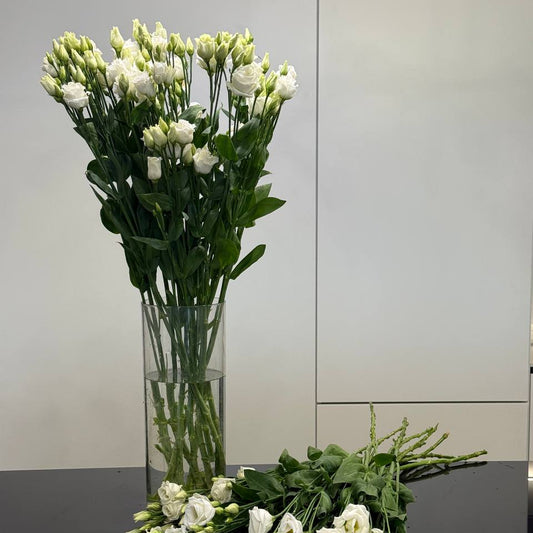 Eustoma