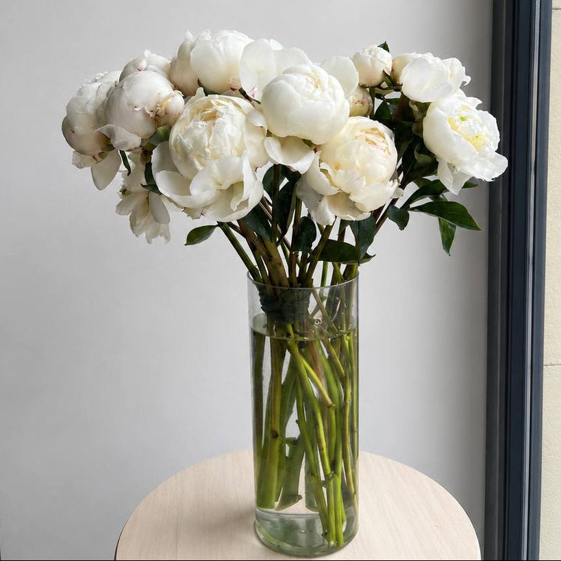 Peonies White