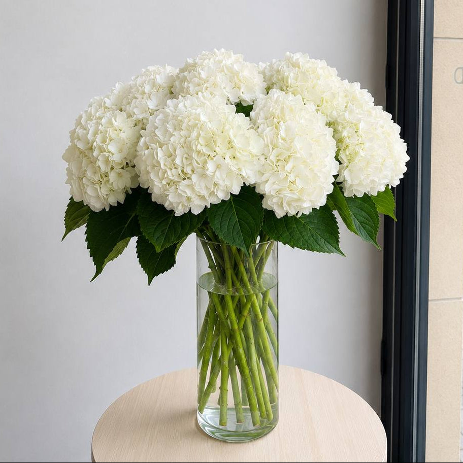 Hydrangea