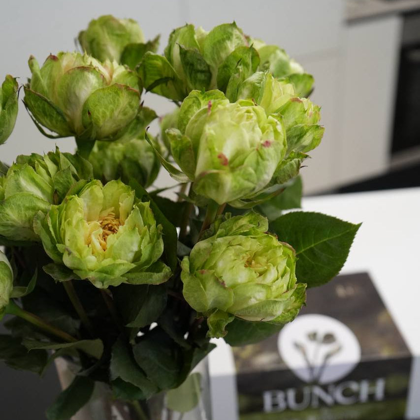 Roses Veggie