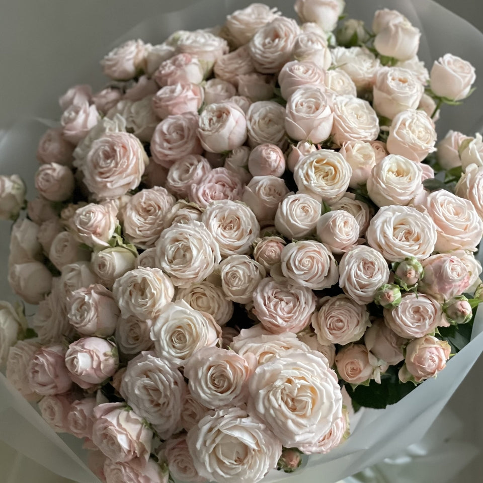Spray roses Bombastic