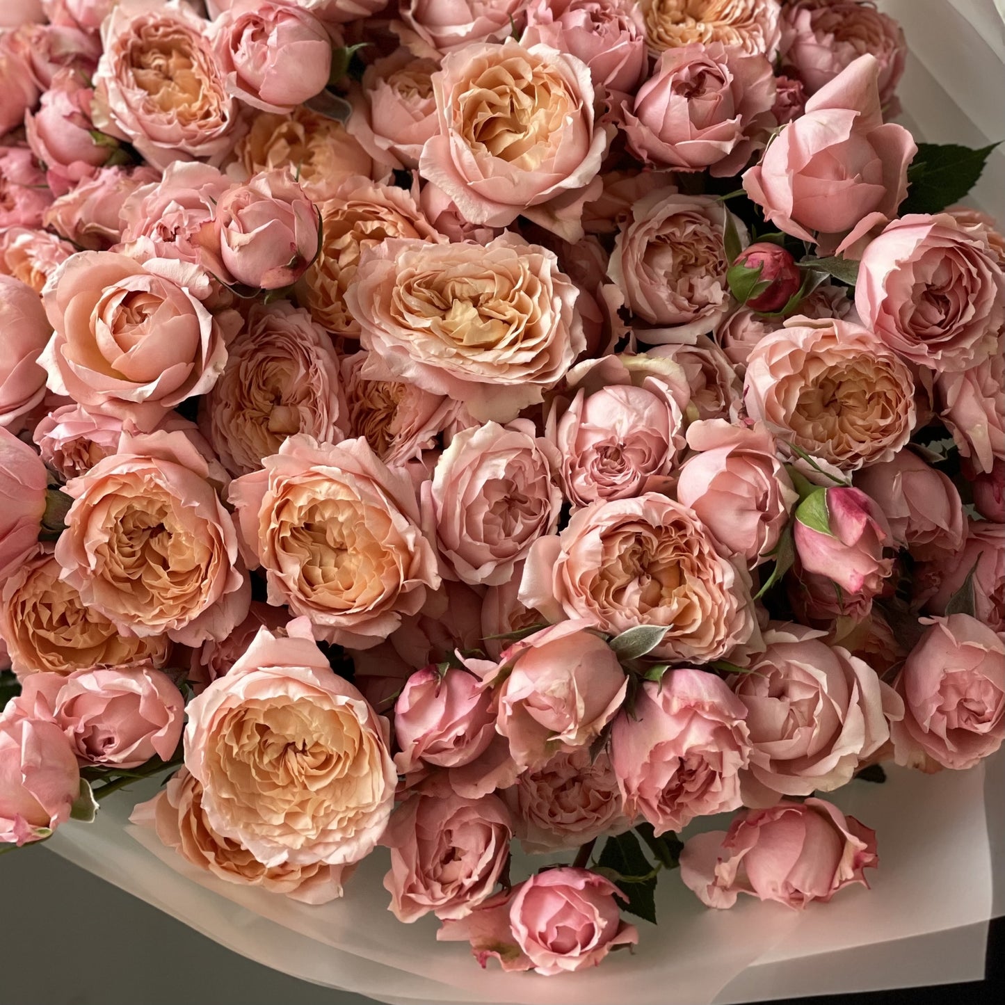 Spray roses Julieta