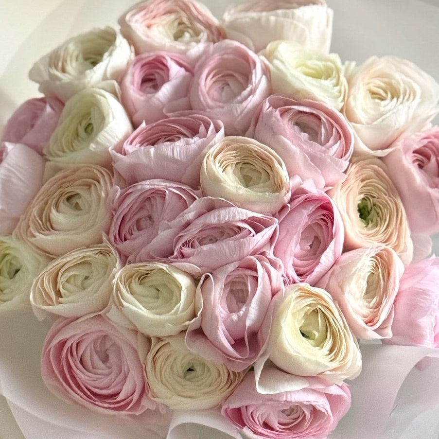 Ranunculus mix