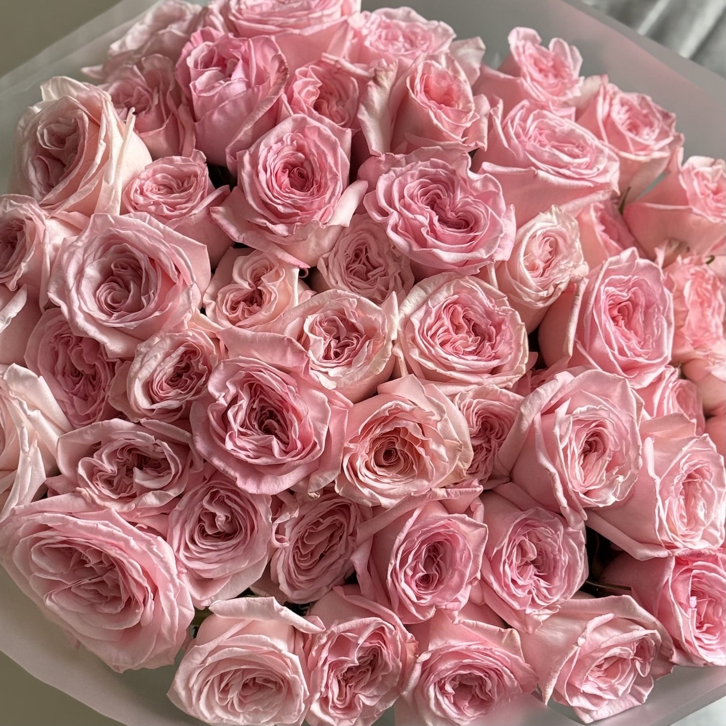 Roses Pink O’Hara
